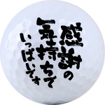 No.H-02